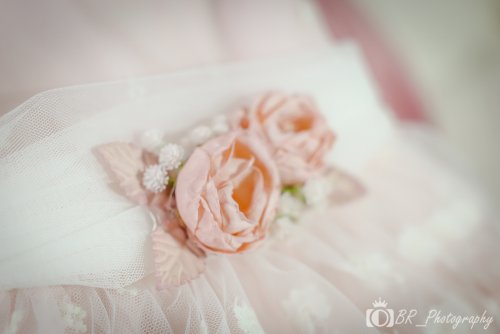 BRP_BC-1 (1)
