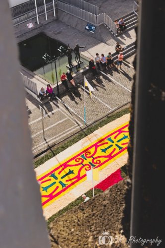 Publicar (17 de 86)
