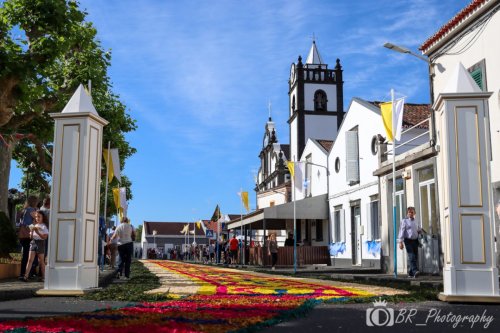 Publicar (43 de 86)