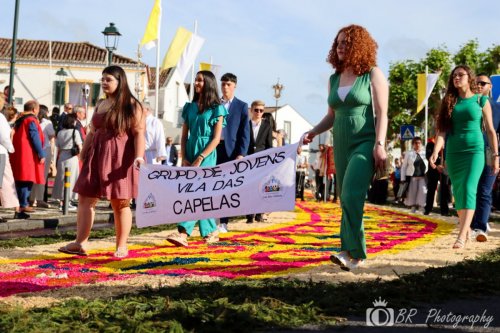 Publicar (58 de 86)