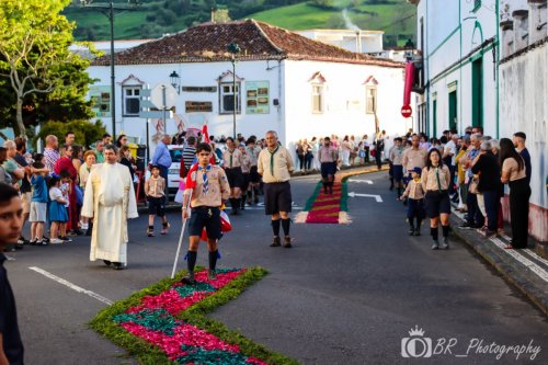 Publicar (77 de 86)
