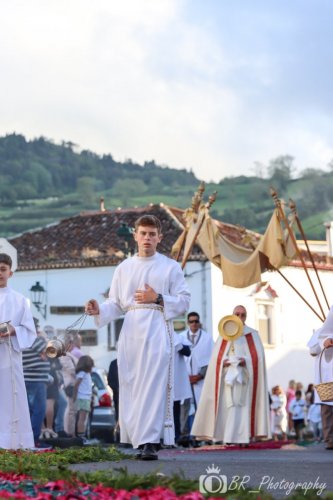 Publicar (83 de 86)